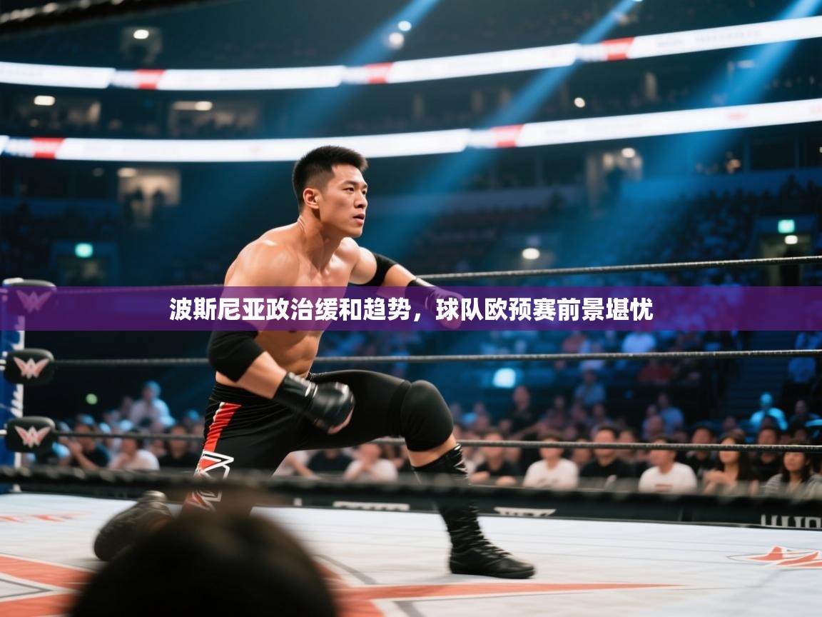 波斯尼亚政治缓和趋势，球队欧预赛前景堪忧  第2张