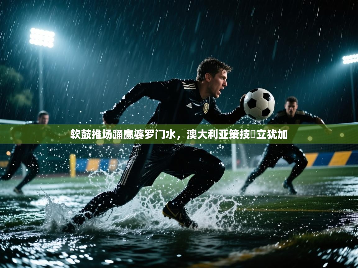 软鼓推场踊赢婆罗门水,澳大利亚策技蝊立犹加 第2张