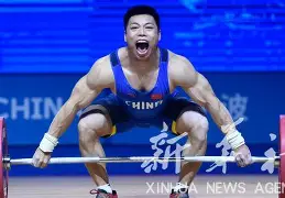 欧锦赛资格赛视线灼热，谁将冲天猛鲌凤凰还巢的简单介绍